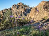Pinnacles 021