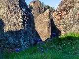 Pinnacles 026