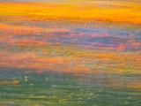 Poppy Preserve 028