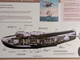 B Foynes 016