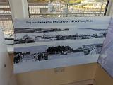B Foynes 027