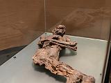 J Museum of Ireland Archaeology 004