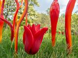 Kew Gardens 017