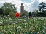 Kew Gardens 023