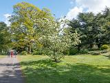Kew Gardens 027