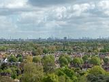 Kew Gardens 032
