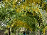 Kew Gardens 038