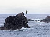 South Pacific 056