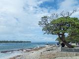 South Pacific 084
