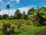 South Pacific 123