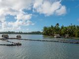 South Pacific 172