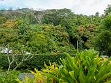 South Pacific 176