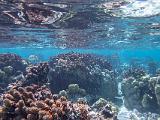 South Pacific 223