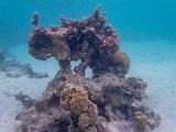South Pacific 229