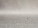 Weller Pond 012