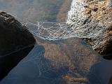 Weller Pond 021