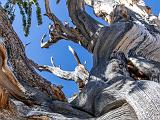 Great Basin 012