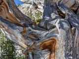 Great Basin 013