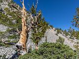Great Basin 014