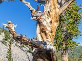 Great Basin 015
