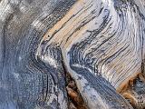 Great Basin 018