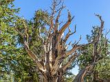 Great Basin 019