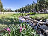 Great Basin 025