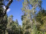 Great Basin 034