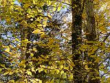 Vermont 004