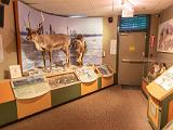 Hudson Bay 017