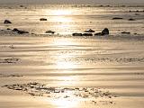 Hudson Bay 033
