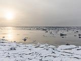 Hudson Bay 034