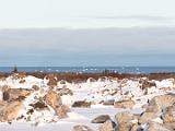 Hudson Bay 043