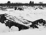 Hudson Bay 053