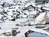 Hudson Bay 067
