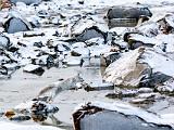 Hudson Bay 068