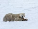 Hudson Bay 088
