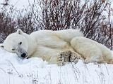 Hudson Bay 092