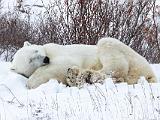 Hudson Bay 094