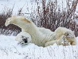 Hudson Bay 097