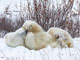 Hudson Bay 098