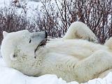 Hudson Bay 101