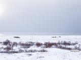Hudson Bay 102