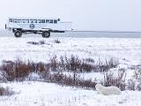 Hudson Bay 103