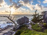Monterey 008