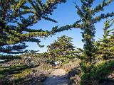 Monterey 010