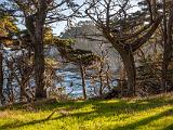 Monterey 013
