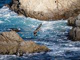 Monterey 018