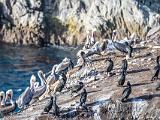 Monterey 021