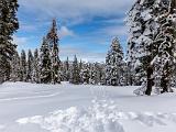 Yosemite 003